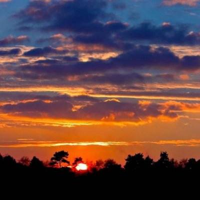 熊猫娱乐appapp下载